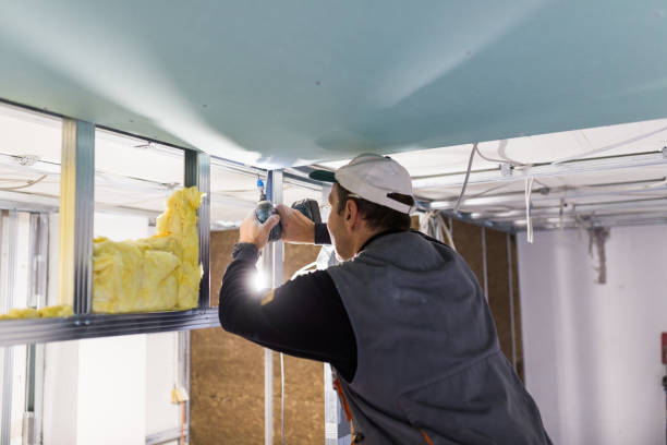 Best Geographic-Specific Insulation Services in Ravena, NY
