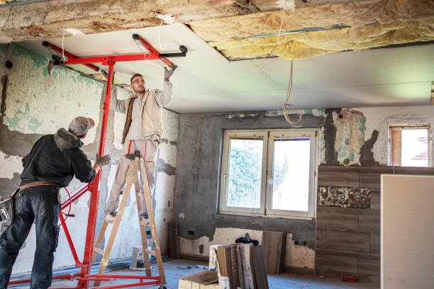 Best Eco-Friendly Insulation in Ravena, NY