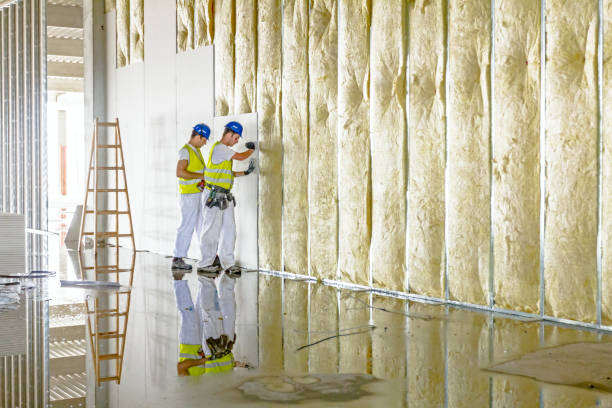 Types of Insulation We Offer in Ravena, NY